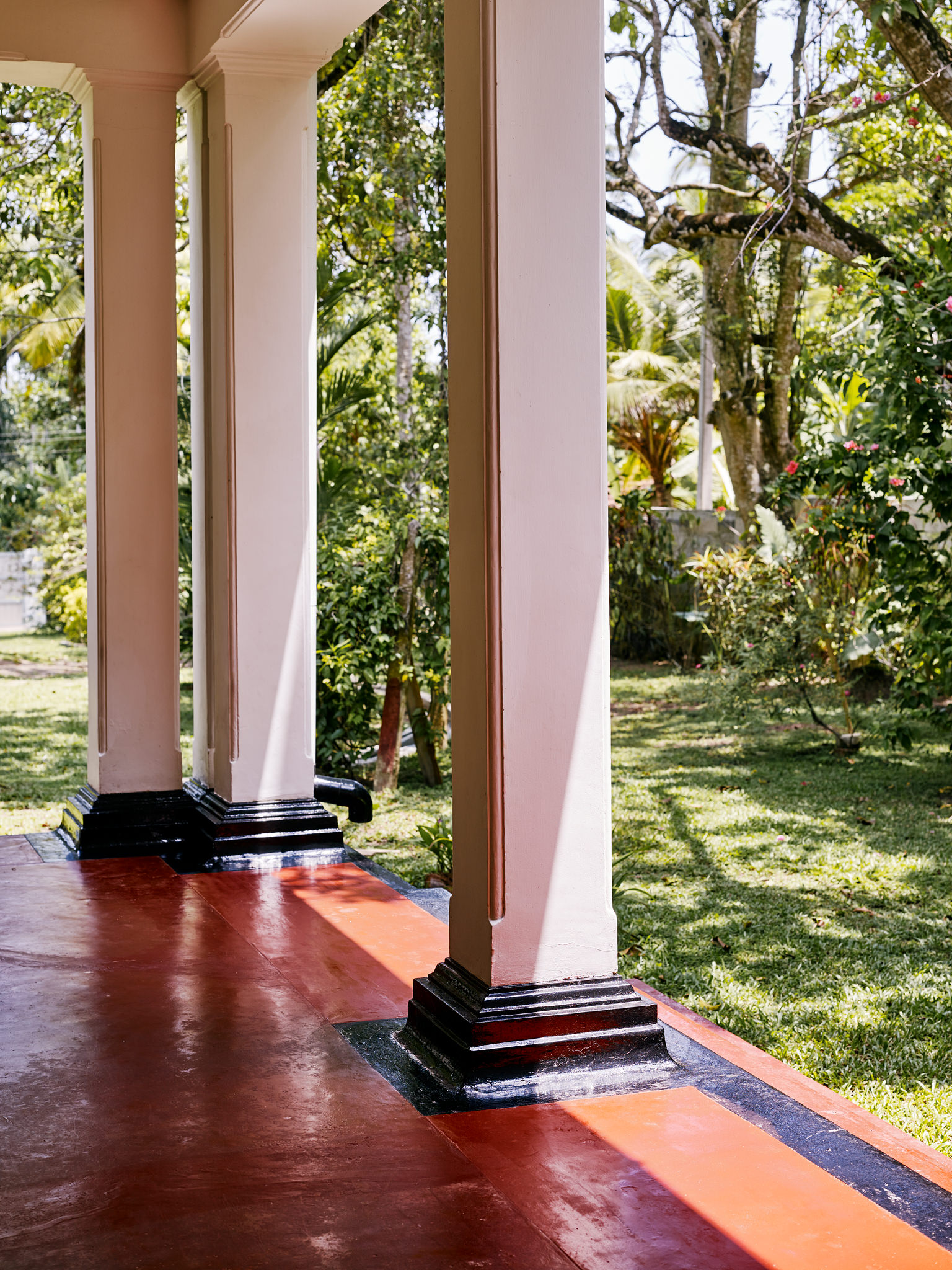 E15550 Alpa 050096 SCREEN